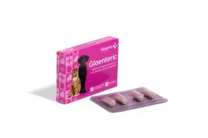 Gloenteric apoio intestinal