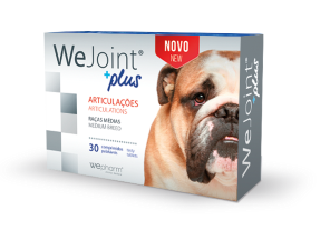 Wejoint cães médios